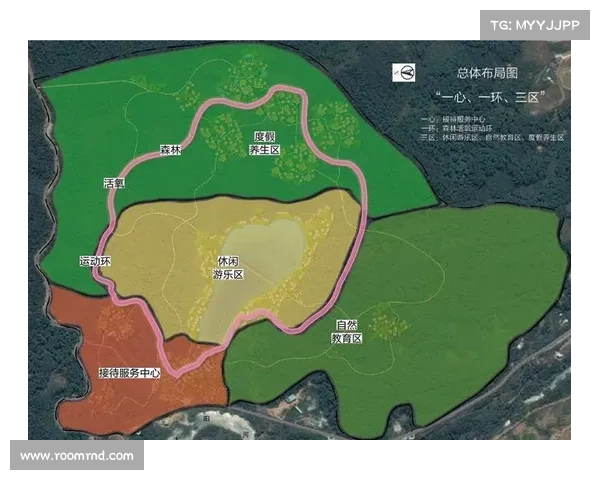 部落与联盟合作模式解析及其在现代社会中的应用与挑战