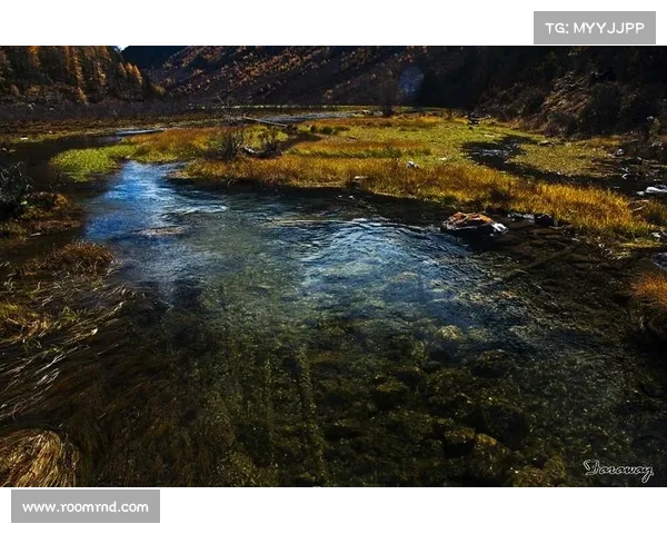 如何在梦幻新诛仙中发现那些隐藏的美丽风景与秘境景点