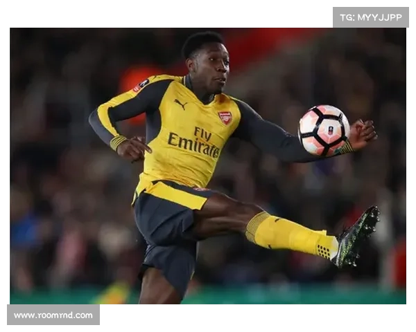 以黑贝之名：维尔贝克笔下人性阴影与现代孤独的隐喻