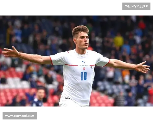 哈谢克赛后剖析捷克失利五大原因表达对球队未来的冷静思考